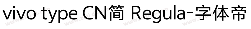 vivo type CN简 Regula字体转换